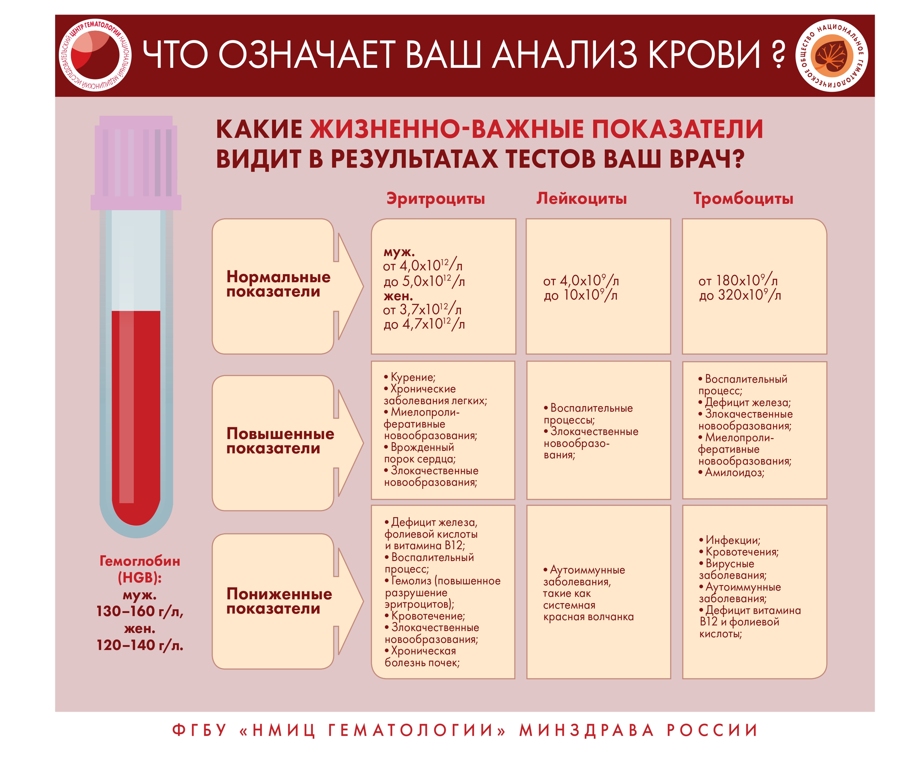 Инфографика по заболеваниям крови – ГОБУЗ 