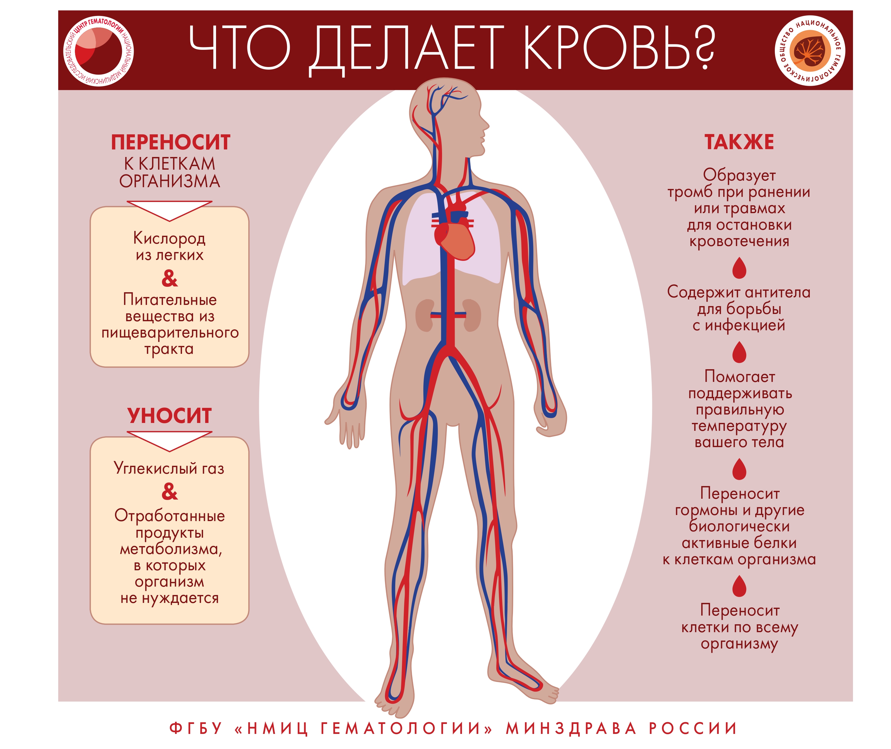 порно русское в первый раз в анализе крови что это такое фото 112